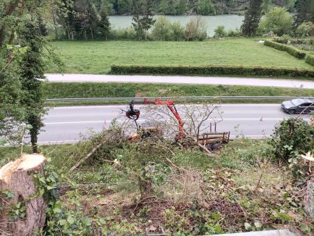 l_624118IMG_20240419_073031