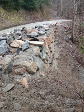 IMG_20250210_122421_MP