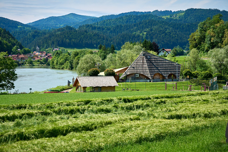 Mitnica